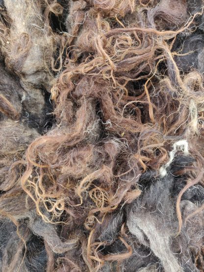 Black Fleece Bleached by the sun