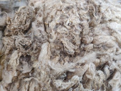 Icelandic Sheep Fleece