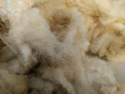 Sheep Wool Fleece for Garden